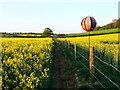 Bird-scarer, oilseed rape and a fence, near Timbridge Farm, Wiltshire