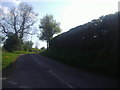 Camp Road from junction of Horse Hill