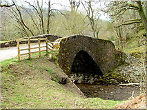 NN1788 : Bridge over the Abhainn Chia-aig by Dave Fergusson