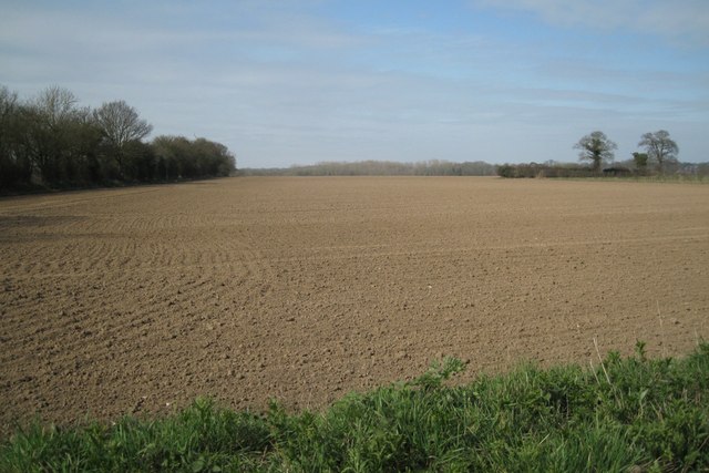 Southeast corner of a large field
