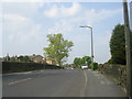 Norman Lane - viewed from Prospect Street