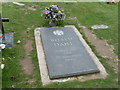 SP8901 : Roald Dahl's Grave, Great Missenden by David Hillas