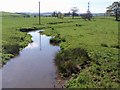 Cannington Brook