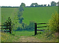 Footpath seen from Underpass