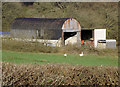 Farm sheds near Cynghordy, Carmarthenshire