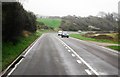 A259  between Newhaven and Seaford