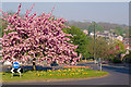 Sunningvale Avenue/Stock Hill/Norheads Lane Roundabout