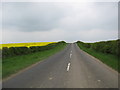 NT9545 : Looking back on the B6354 south of Shoresdean by James Denham