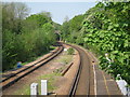 Hastings Line through Crowhurst