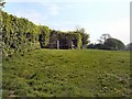 Field near Oldhouse