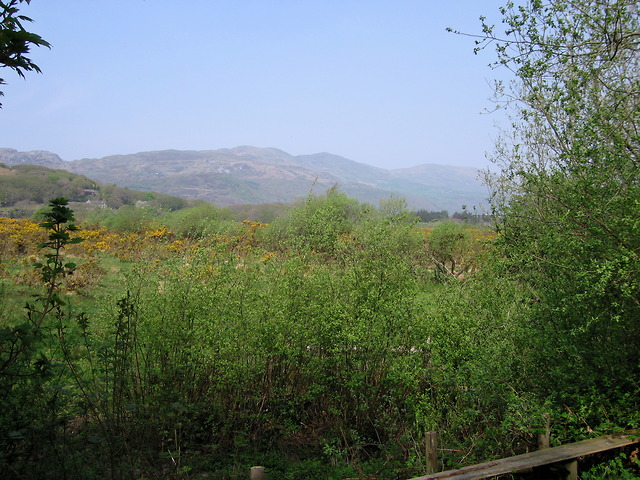 Reclaimed land in the Mawddach estuary