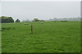 Footpath to Tockholes