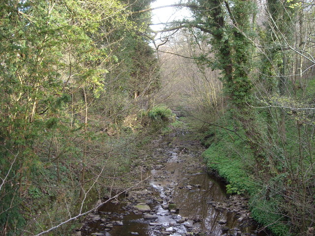 Eller Beck, Skipton © Bill Johnson :: Geograph Britain and Ireland