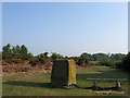 Memorial, Memorial Common