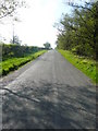 Lane between Blackshaw Moor & Thorncliffe