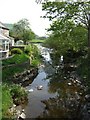 Afon Trannon downstream at Llawr-y-glyn