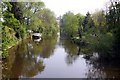 The River Loddon looking south