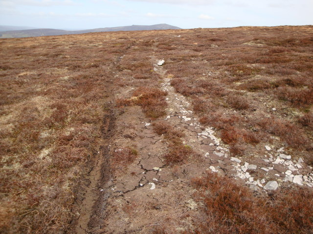 Track on heathery hillside