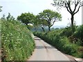 Road to Sandford from Ruxford Barton