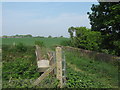 Farm bridge near Guston