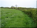 Footpath towards the A478