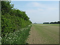 Route of footpath to Solton Lane