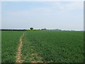 Bridleway to Station Road