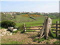 Gate with stump