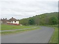 Roundwood Glen - viewed from Rimswell Holt