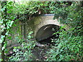 The Beck entering a culvert under Kelsey Park Road