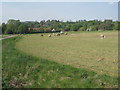 View towards Tealby