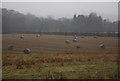 Hay bales near Lingen Bridge