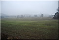 Farmland south of Bucknell