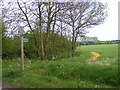 Footpath to Great Lodge Entrance