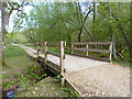 Bridges over Streams in Holmsley Inclosure