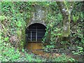 Kingsmoor Tunnel, NW end