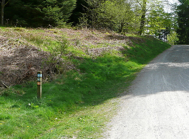 Cycle Trails On Hawkshead Moor © Graham Horn Cc-by-sa 2.0 :: Geograph 