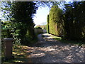 Footpath to the A12 Main Road