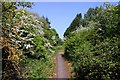 Footpath to Drayton Road