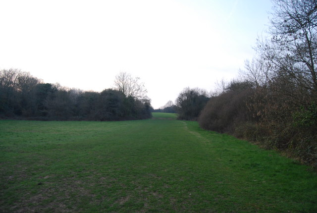LOOP, King George's Field