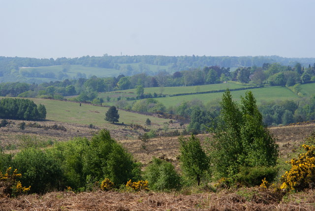 Forest View, Ashdown Forest, Sussex © Peter Trimming :: Geograph ...