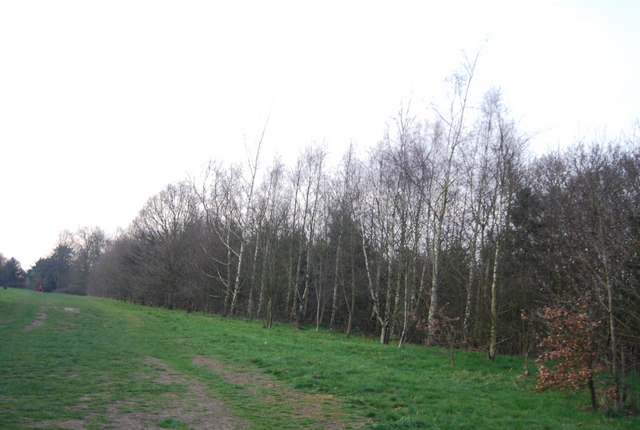 Woodland, King George's Field