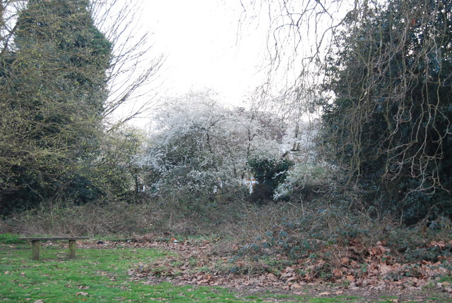 Blossom, King George's Field
