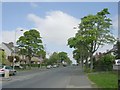 Idle Road - viewed from Norman Grove