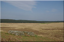 NX2575 : Barnecallagh sheepfold by Leslie Barrie