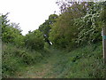 TM3257 : Footpath to the A12 Wickham Market Bypass by Geographer