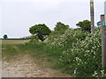 TM3258 : Hollow Lane footpath to Keeper's Lane by Geographer