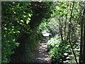 South West Coast Path above Coryton