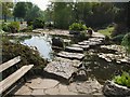 Pool in the Rookery