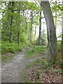 Footpath leading to Cleddon Hall